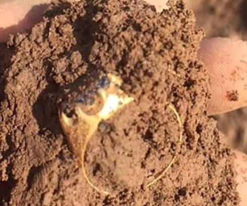 A metal detector enthusiast discovered a medieval gold ring with a sapphire  in Sherwood Forest, famous for the Robin Hood myth. Experts believe it  dates back to the 15th century. 37-year-old Mark