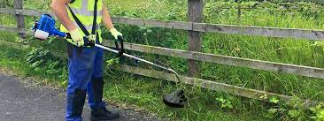 Best for medium work as you would do on large lawns with heavy weeds. How To Use Your Grass Strimmer The Ultimate How To Guide Help Advice