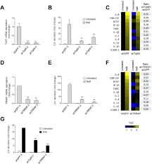 Последние твиты от tarc (@ridetarc). The Nua4 Acetyltransferase And Non Canonical Chromatin Associated Mrn Atm Activity Temporally Define Senescence Associated Secretory Programs Biorxiv