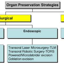 Organ Preservation Strategies For Ca Larynx A Chart Of The