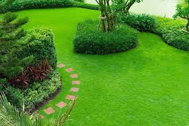 Tentu saja, masih ada spot lain di taman langit yang harus dicoba. Albuquerque Lawn Maintenance 10 Steps To A Stunning Green Lawn R S Landscaping