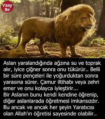 Murad Shefi Adli Kullanicinin Ilginc Gercekler Panosundaki Pin Bilgi Bilgi Alintilari Egitim