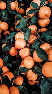 Istorii Instagram En 2020 Fondos De Frutas Fondos De Pantalla Verde Pantallas De Frutas