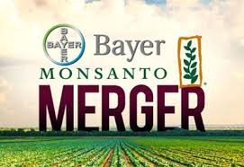 Monsanto dominates america's food chain with ruthless tactics, waging a debilitating war against small farmers. Bayer And Monsanto Announce Mega Merger Planet Natural
