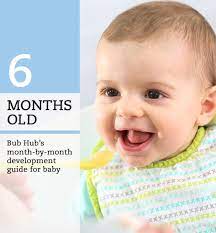 How much money should you save every month? What Should My 6 Month Old Baby Be Doing 6 7 Month Milestones Bub Hub