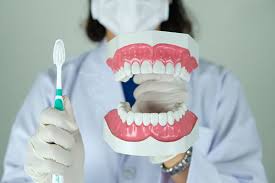 Common Services You Can Expect from a General Dentist - Dental Excellence  of Greenhaven Sacramento California