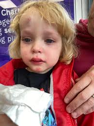 Does anyone know what has happened to Scott Speight, Rum Prioleau and Wayne  Napier. All help greatly received.