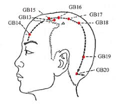 Gallbladder Meridian