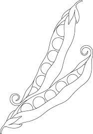 Peas Vegetable Coloring Page Download Free Peas Vegetable Coloring Page For Kids Fruit Coloring Pages Vegetable Coloring Pages Coloring Pages