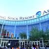 Phoenix suns fans enjoying resurgent season, return to playoffs; 1