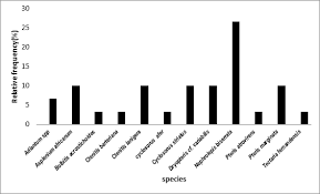 Image result for Tectaria fernandensis