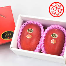 太陽 の マンゴー 値段