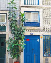 Ficuselastica A Lisbonne Lgsalisbonne Urbanjungle Lisboa Caoutchouc Lisboalovers Lisboaalive Mouraria Instalisb Ficus Elastica Outdoor Decor Plants