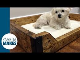 A raised bed can be a little more comfy conclusion: Pin On For Artimus