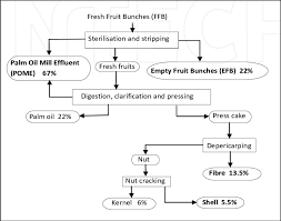 A palm oil mill produces crude palm oil and kernels as primary products and biomass as secondary product. Simplified Process Flow Diagram Of An Oil Palm Mill Download Scientific Diagram