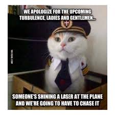 Part of a series on cats. Captain Laura Einsetler On Twitter Happysaturday Caturday Jokes Funny Meme Pilothumor Pilotlife Captainlaura