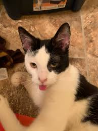 Krasnesky Manor for...