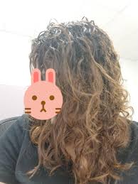 Birds nest home stay features a balcony and is located in cochin, within just 300 metres of fort kochi beach and 1.9 km of kochi biennale. Advice For My Birds Nest Curlyhair