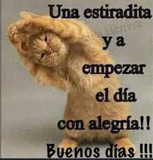 Pin By Gladis Sanchez On Buenos Dias A La Vida Good Morning Quotes Funny Good Morning Quotes Good Morning Greetings