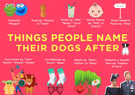 These awesome female dog names include ideas based on traditional names (hattie? Good Dog Names