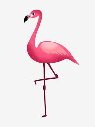 Flamingo Cor De Rosa Png Gratis Rosa Flamingo Passaro Imagem Png E Psd Para Download Gratuito Pink Flamingos Birds Pink Flamingos Flamingo