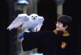 Harry potter is a series of seven fantasy novels written by british author j. Harry Potter Character Books Movies Facts Britannica