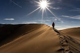 It is better to step around than to step over, better to step over than to step on. Man Walking Top Brown Dessert Soil Sand Outdoors Piqsels
