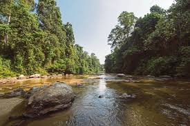 Join facebook to connect with ulu mulu and others you may know. Compensate Kedah For Conserving Forest