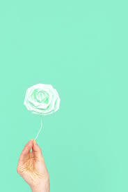 May 28, 2021 · hung over a dresser, the curious clash of opposing aspects makes for a charming and attractive focal point. Premium Photo Plastik Flowers Aesthetic On Blue Background Minimal Aqua Menthe Trends