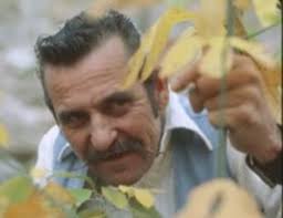 We are all familiar with MontEagle Mountain, Tennessee, but I bet you  didn't know all this….