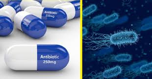 Dalam artikel ini anda akan menemukan jawabannya. Kekurangan G6pd Dan Tanda Tandanya The Diagnosa