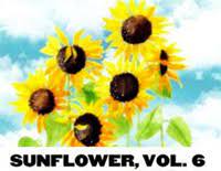 Styles auditioned as a solo contestant for the british music competition. Sunflower Vol 6 Harry Styles Free Piano Sheet Music Piano Chords