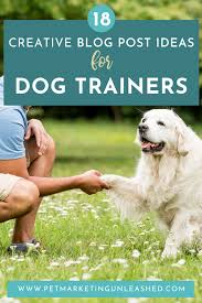 pin on blogging for pet businesses