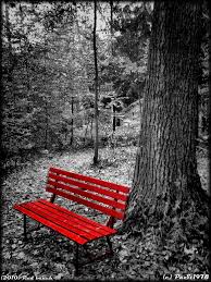 Black And White Bench Black White And Red Red Bench Color Splash Photo Color Splash Photography