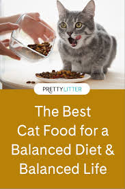 What Is The Best Cat Food To Feed My Fur Baby In 2020 Best Cat Food Cat Nutrition Cat Food