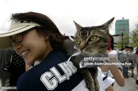 156 Jessie Wong Stock Photos, High-Res Pictures, and Images