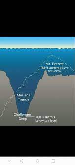 We did not find results for: Tahukah Anda Jurang Mariana Jurang Terdalam Di Dunia Facebook