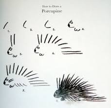 To draw these quills, take your pencil and go back and forth around the body, making the lines look jagged. The Shelf Life A Happy Witch And 99 More Things Drawings Drawing Lessons Elementary Art Projects