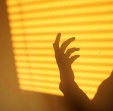 See more ideas about yellow . I Got Sunshine My Sunshine