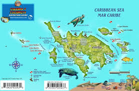 Search and share any place. Culebra Puerto Rico Dive Map Coral Reef Creatures Guide Franko Maps Laminated Fish Card Franko Maps Ltd 9781601905437 Amazon Com Books