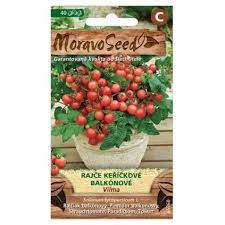 Slupka cibule aeneus má bronzové zbarvení a pevně cibuli obaluje. Rajce Kerickove Balkonove Vilma Ms Truhlikov Cz