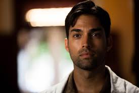 Who is James Floyd? Dr Gabriel Varma actor in Good Karma Hospital and  British Independent Film Award winner