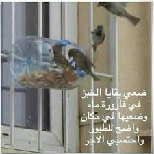 بقايا الطعام Bgaea Twitter