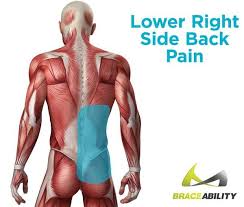 Pin On Back Pain Relief