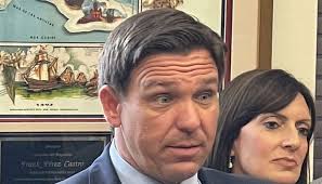 Grant Stern's Portfolio