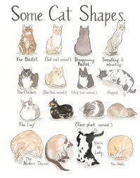 Cat Shapes Print In 2020 Cat Art Cat Language Cat Drawing