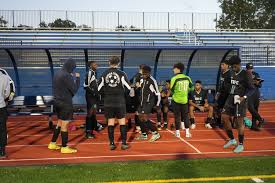 The Triceratops Are Back!