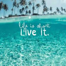 Profile for Anne Lancaster