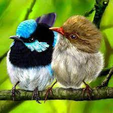 Maybe you would like to learn more about one of these? Fericire Si Speranta Home Facebook