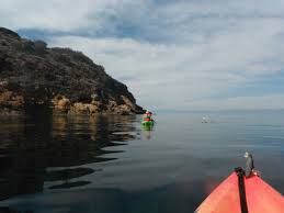 Prisoner's harbor is more secluded in comparison to scorpion anchorage offering a completely different experience prisoners harbor is located midway along the north shore of santa cruz island. Kayaking From Prisoners Harbor Santa Cruz Island To Pelican Bay Channel Islands National Park Santa Cruz Island Pelican Bay